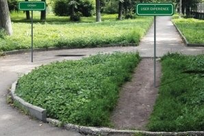 Подвинули позже, чтоб не вытаптывали.
