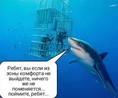 Большая белая акула пробила клетку дайвера в Тихом океане