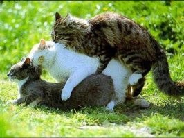 где там ваша нейросеть?!
