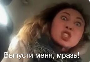 «Не понравилось, что не открывает»: в Краснодаре девушка пыталась выбить дверь автобуса
