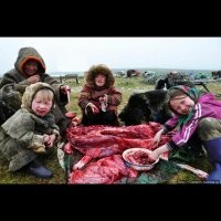 К Ненцам на званый ужин не желаете? А помимо сырого ливера есть копальхен - вообще закачаешься)))