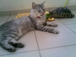 Нормальная реакция.