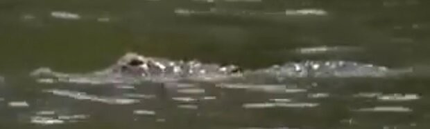 Теперь не только такие водоёмы, лужи за километр обходить будет!