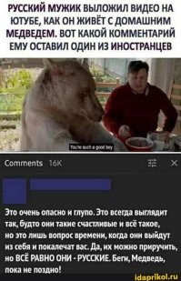 "Эй, Мишаня": встреча туристов с медведем в Башкирии