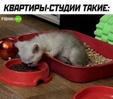 Клетки -гробы Гонконга