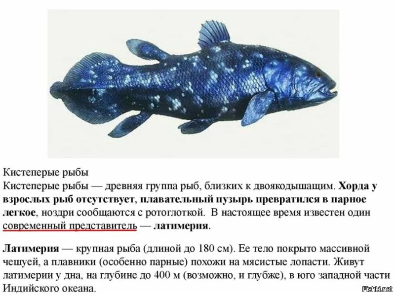 Вынужден вас огорчить - они не все вымери