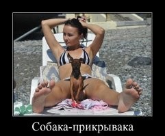 Не ищите здесь смысл. Здесь в основном маразм