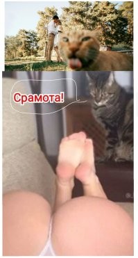 На общую тему&nbsp;