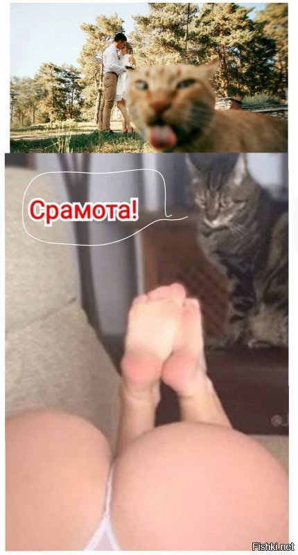 На общую тему&nbsp;