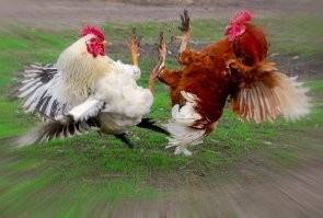 Двое водителей устроили разборку посреди проезжей части