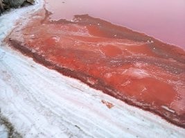 солепромысел