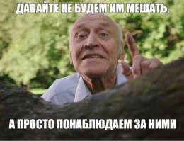 Глава Федерации борьбы грубо наградил сменившего спортивное гражданство атлета и попал в скандал