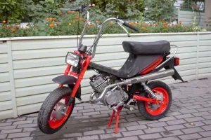 Я их тоже видел несколько раз, причём у взрослых мужиков.
В середине 90-х Стеллы были популярны.