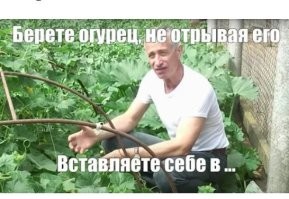 Это не тот Малахов.