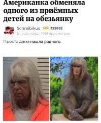 Американка обменяла одного из приёмных детей на обезьянку