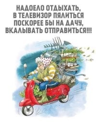 Большая тарелка позитива
