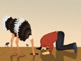 Чиновникам Сургута запретили хвалиться роскошью, лайкать порно и выкладывать фото с алкоголем