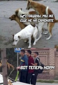В Кемерово самокатчик сбил женщину на тротуаре и скрылся