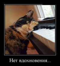 Кот пытается сохранять спокойствие