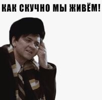 Жена рок-музыканта устроила суету в Лос-Анджелесе