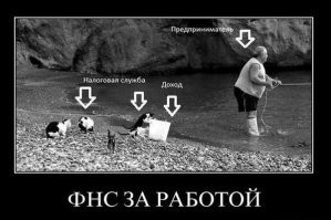 Мужчина угостил аиста рыбой