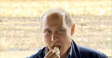 О политике и не только