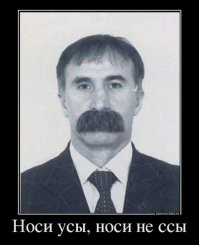 Интересные факты про усы моржа