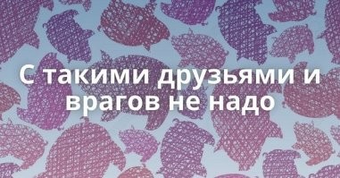 Атомный ледокол чуть не снёс палатку со спящим рыбаком