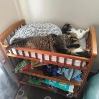 Если вы решили держать ребёнка на полке для вещей, к вам тоже есть вопросы...