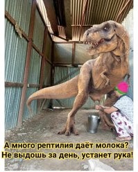 На общую тему&nbsp;