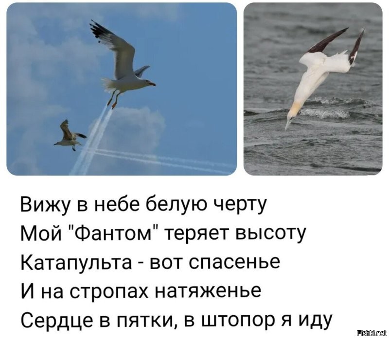 Намешалось