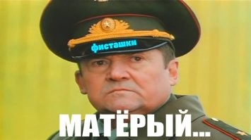 Прохожие случайно застали двух котов за серьёзной разборкой