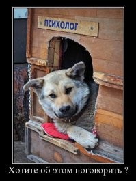 Не ищите здесь смысл. Здесь в основном маразм