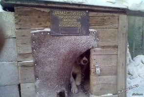 Не ищите здесь смысл. Здесь в основном маразм