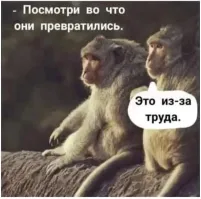 Обезьяна с отвёрткой