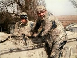 Просто гифки, всякие и&nbsp;разные