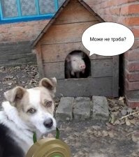 Новости нашего мира