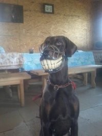 &nbsp;Намешалось&nbsp;