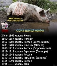Быдло...