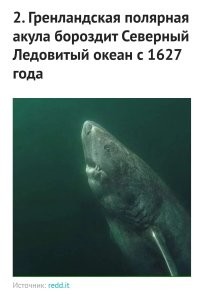 Прям были свидетели её появления на свет? Прям конкретно этой особи?
Вот честно, вымораживают подобные заявления. Типа - этой медузе 100500 лет. По годовым кольцам вычислили?