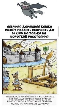 А вдруг ты не знал…