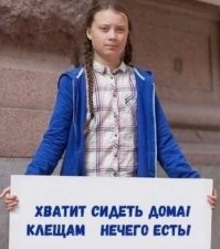 Скрины из соцсетей