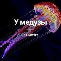 Как медуза  жил и не парился. До последнего момента. Ну хорошо хоть дверь машины успел закрыть