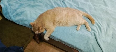 да плевать...