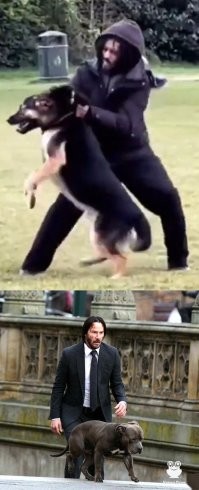 Парень спас собаку с помощью пальца