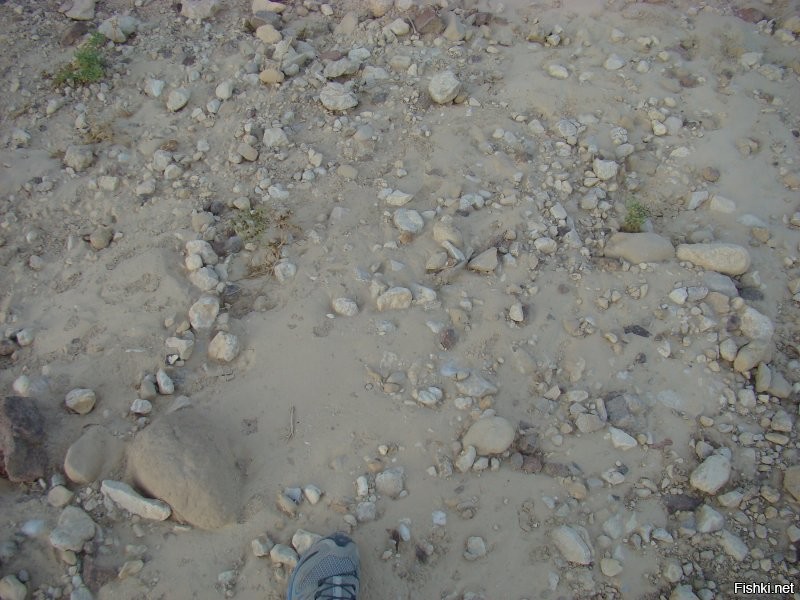 Фотограф здорового человека. Палец в кадре – очень важно, чтоб оценить масштаб объекта, хотя бы приблизительно. Я, когда снимаю что-то необычное/малознакомое, всегда стараюсь, чтоб в кадр рядом попал какой-то предмет примерно понятного размера: хотя бы тот же носок собственной обуви, например.
Ну, или чтоб потом, при просмотрах, наглядно представлять, что за поверхность была, по которой бродить довелось. )