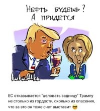 Эти похожи спереди пристроились
