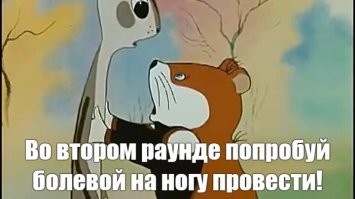 Схватка сусликов на трассе в Тюменской области
