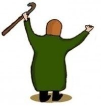 20 исчезающих насекомых крупным планом