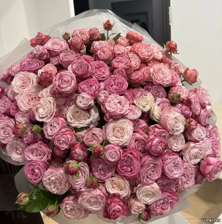 Солянка от 16.04.2025